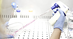 Laboratori