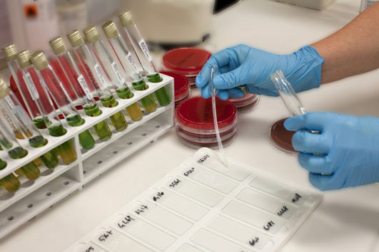 Laboratorio di Ricerca Traslazionale